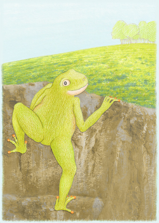 illustratie : kikker-prent2